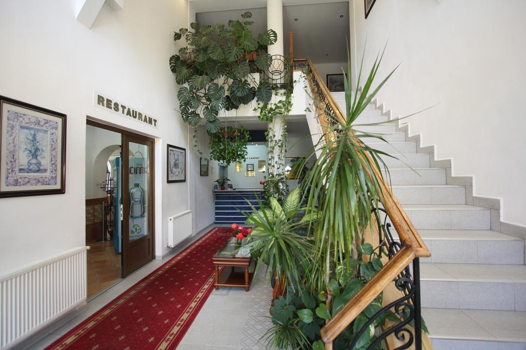 Hotel Ruia Poiana Brasov Extérieur photo