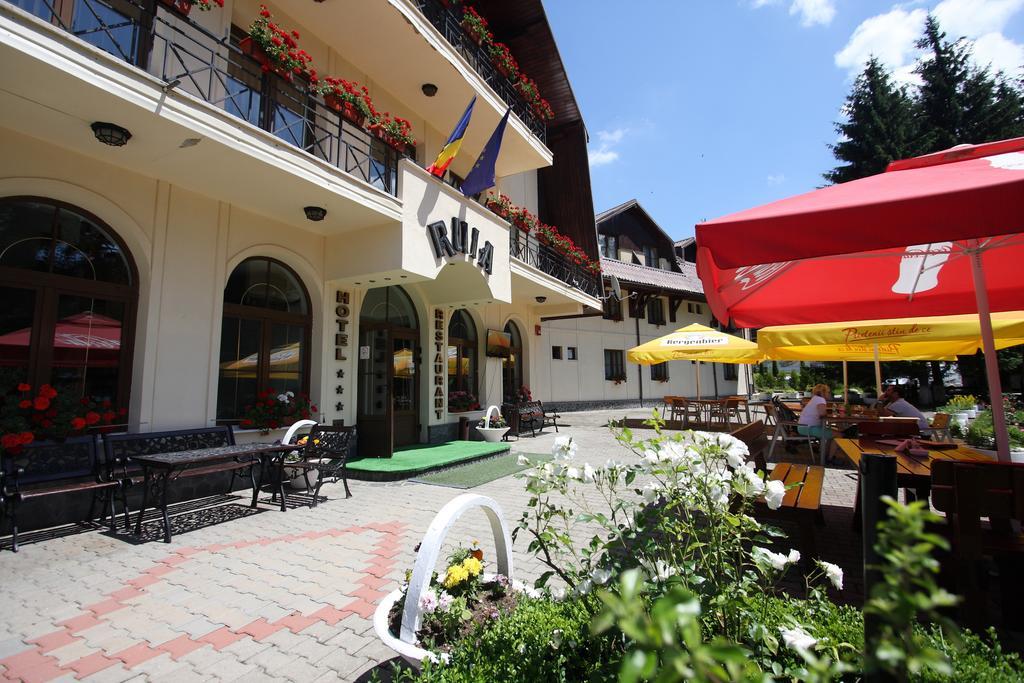 Hotel Ruia Poiana Brasov Extérieur photo